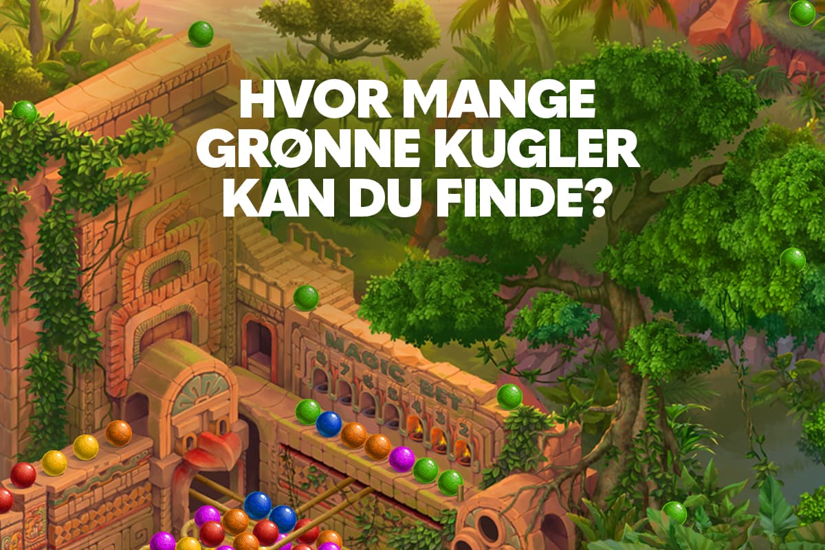 Hvad synes du om pip.dk? ⭐️