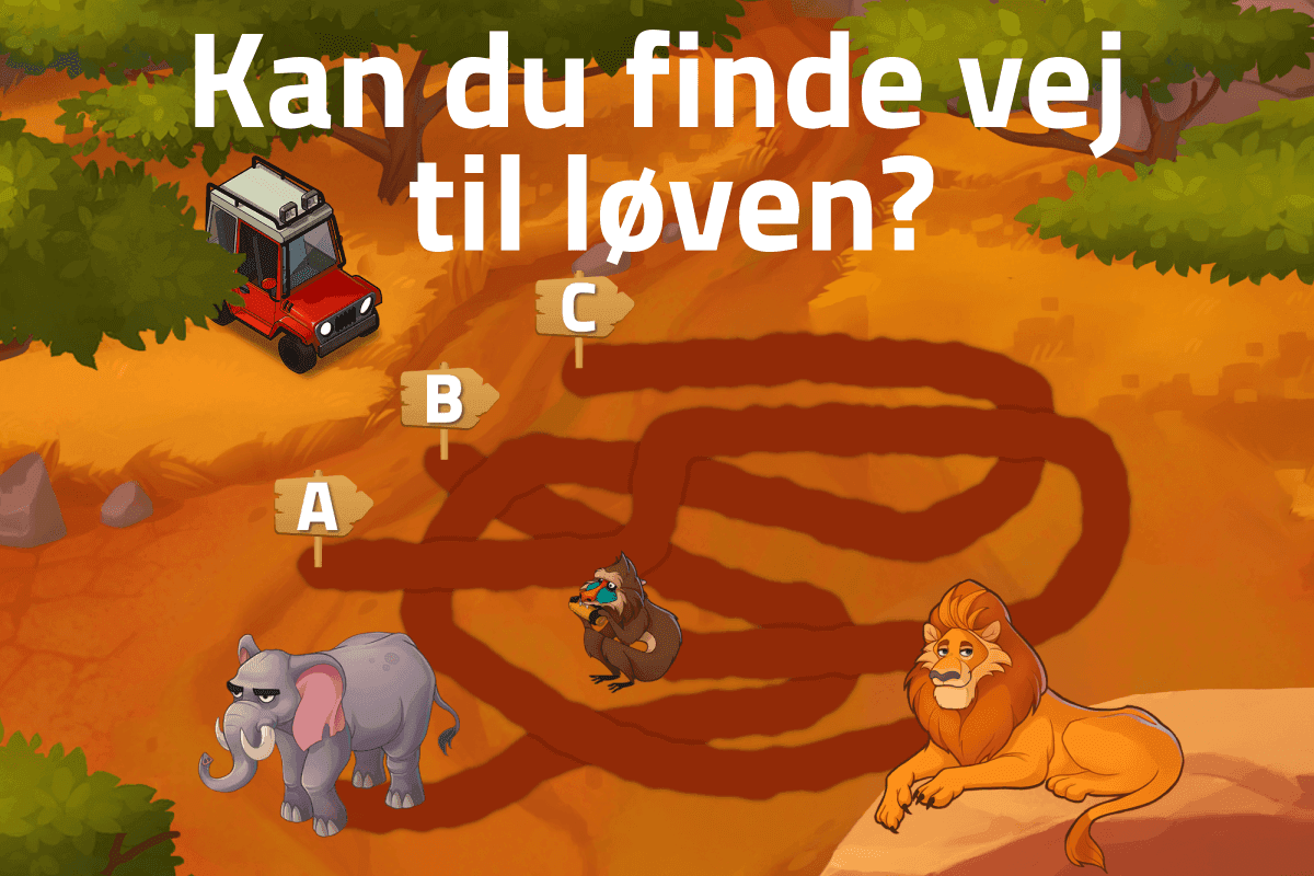 Kan du finde vej til løven?