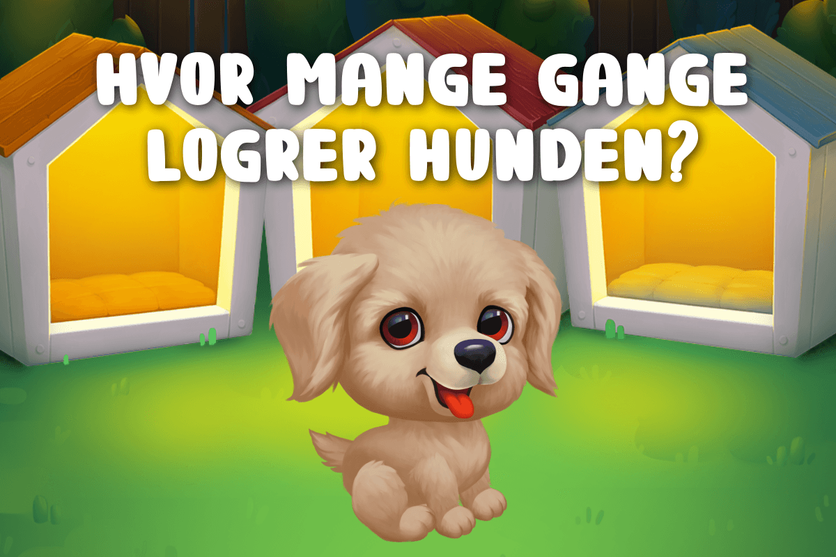 Hvor mange gange logrer hunden?